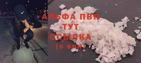 спиды Козловка