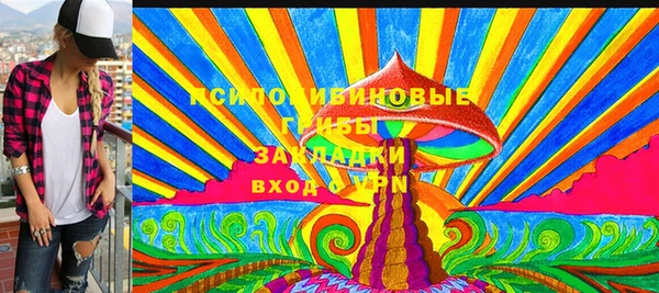 гидра Киреевск