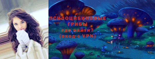 гидра Киреевск