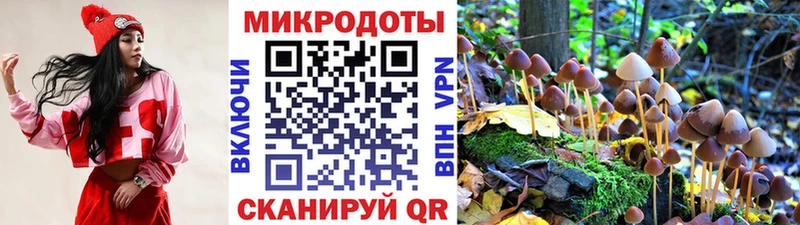 наркота  Кимовск  Галлюциногенные грибы прущие грибы 