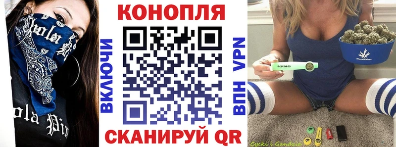 Каннабис OG Kush Кимовск